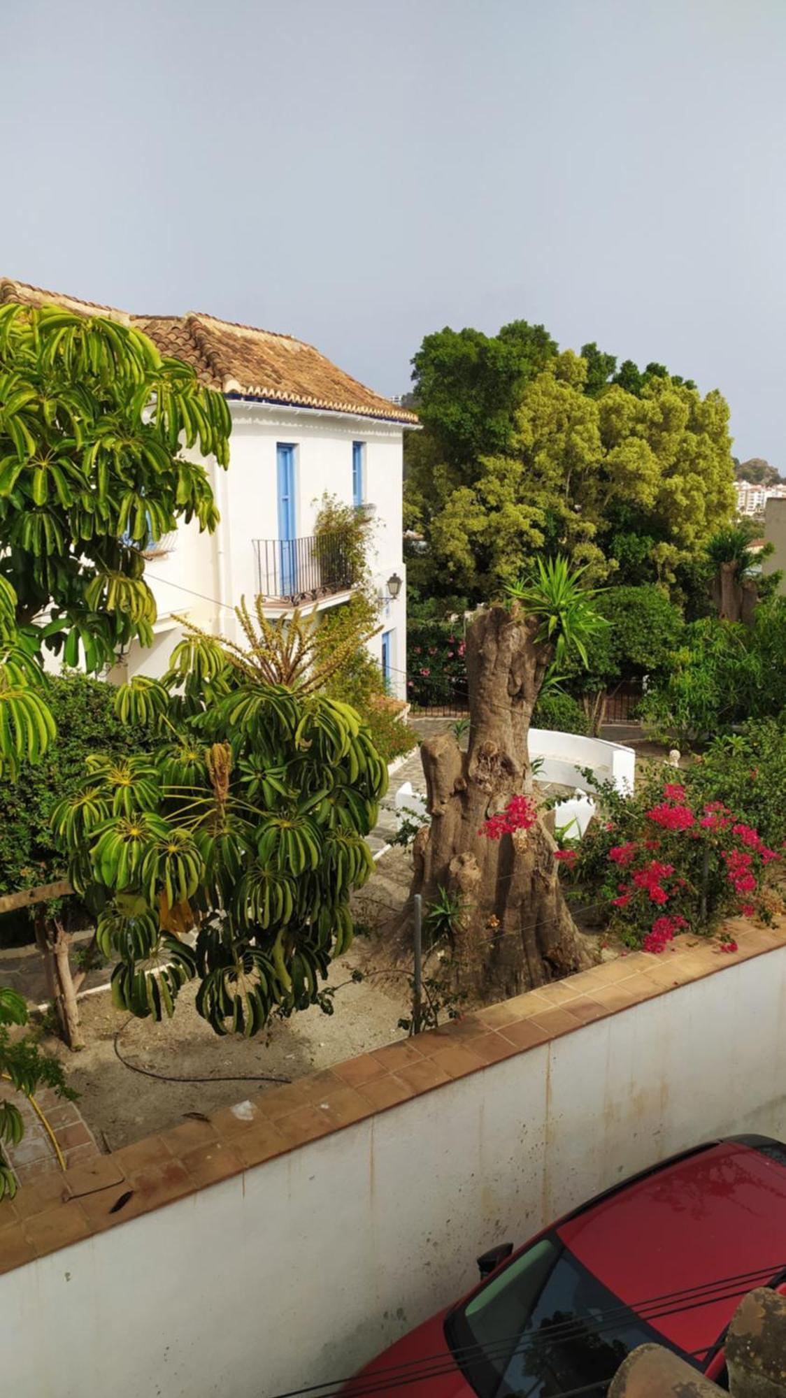 Apartment Sabor Andaluz *